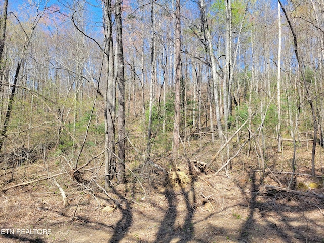 LOT13 Honeysuckle Ln, Sevierville, TN 37876