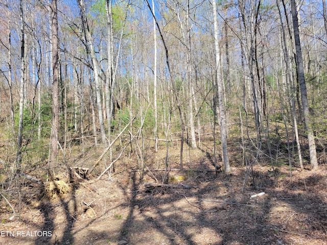 LOT13 Honeysuckle Ln, Sevierville, TN 37876