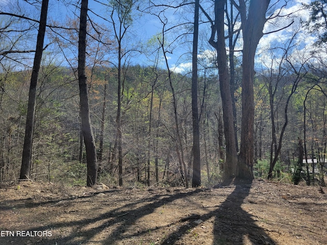 LOT13 Honeysuckle Ln, Sevierville, TN 37876