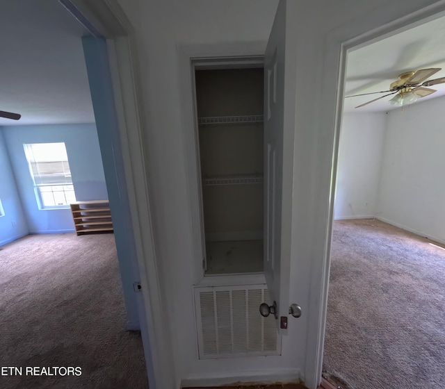 2094 NW Cecil Johnson Rd, Knoxville, TN 37921 - view of closet