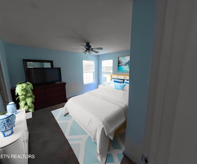 2094 NW Cecil Johnson Rd, Knoxville, TN 37921 - carpeted bedroom featuring a ceiling fan