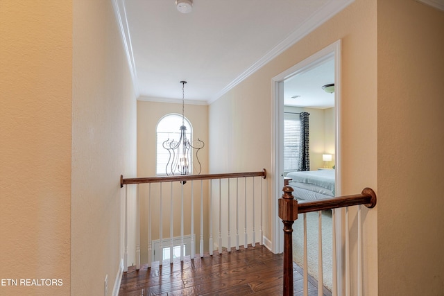 1827 Autumn Bluff Rd, Knoxville, TN 37932 - corridor with a chandelier, wood finished floors, plenty of natural light, crown molding, and a textured wall