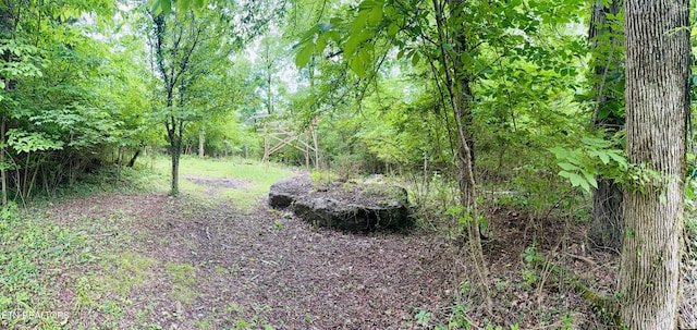 3645 Cactus Cove Rd, Louisville, TN 37777 - photo 58