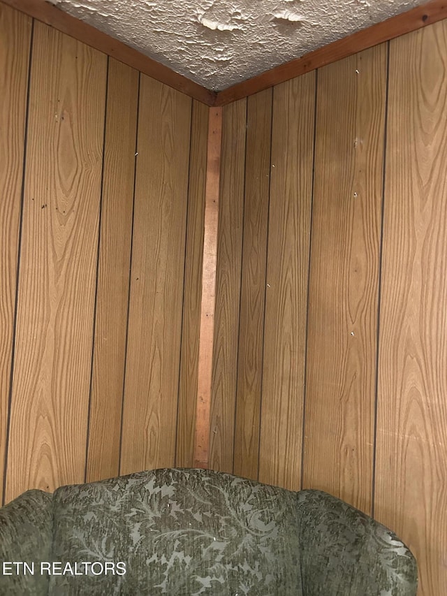 3510 Briceville Hwy, Briceville, TN 37710 - interior details featuring wooden walls