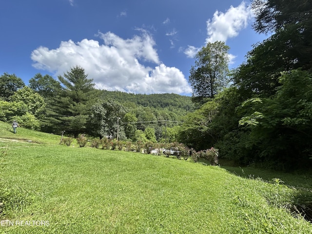 3510 Briceville Hwy, Briceville, TN 37710 - view of yard featuring a view of trees