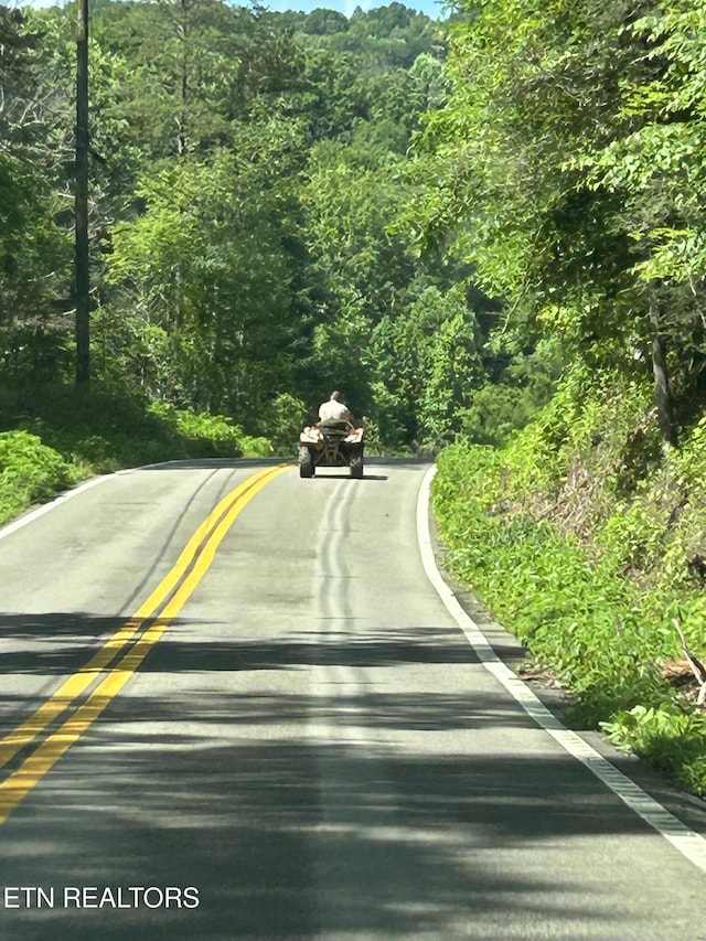 3510 Briceville Hwy, Briceville, TN 37710 - view of road with a forest view