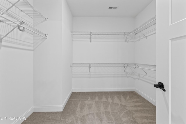 spacious closet featuring carpet floors and visible vents