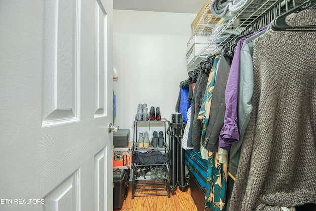 spacious closet featuring wood finished floors