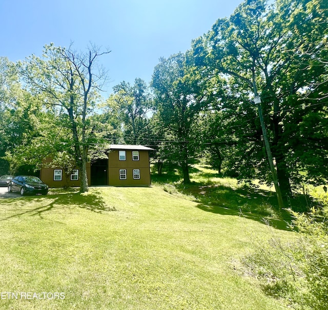 7003 Old Clinton Pike, Knoxville, TN 37921 - view of yard