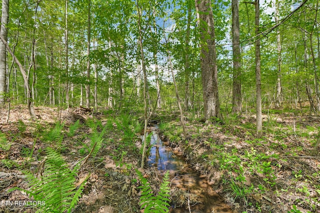 view of nature