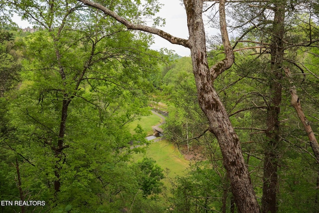 drone / aerial view with a forest view