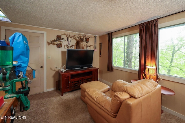 carpeted living room with baseboards and a textured ceiling