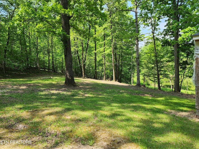 view of yard with a forest view