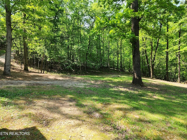 view of yard with a forest view