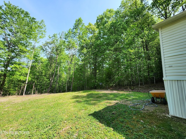 view of yard