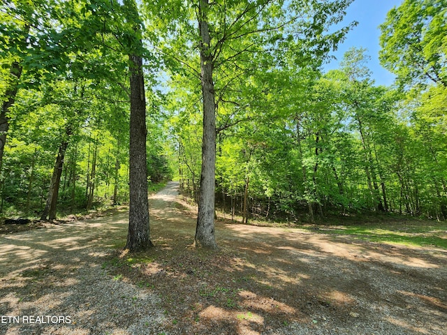 view of landscape with a forest view
