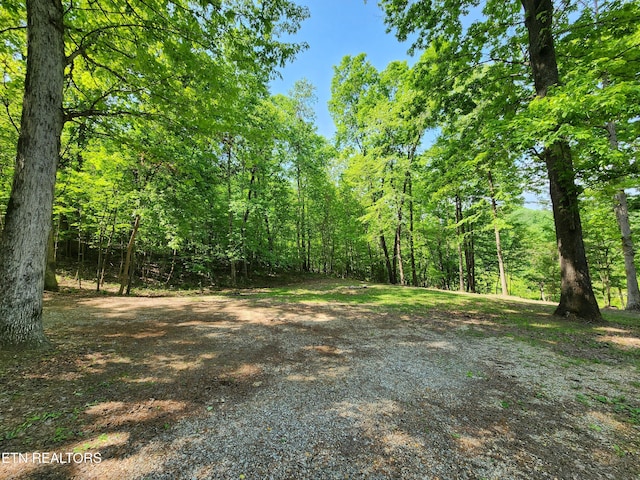 view of nature featuring a view of trees