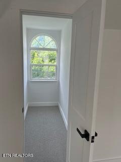interior space with carpet flooring and baseboards