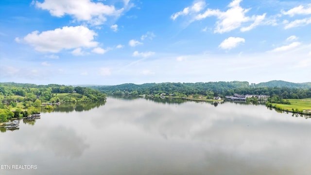 5315 Bent River Blvd, Knoxville, TN 37919 - water view featuring a heavily wooded area