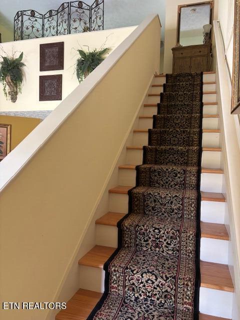 staircase featuring wood finished floors