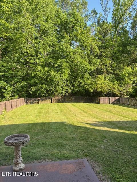 view of yard featuring a fenced backyard