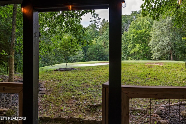 view of yard featuring a wooded view