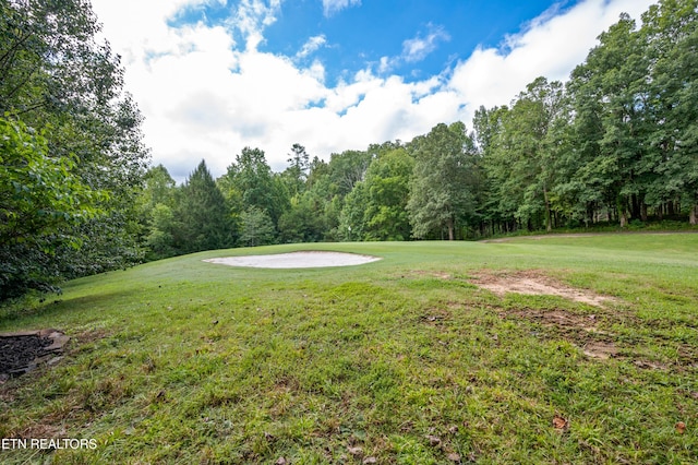 view of yard featuring golf course view