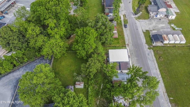 309 W Wheeler St, Rockwood, TN 37854 - photo 39