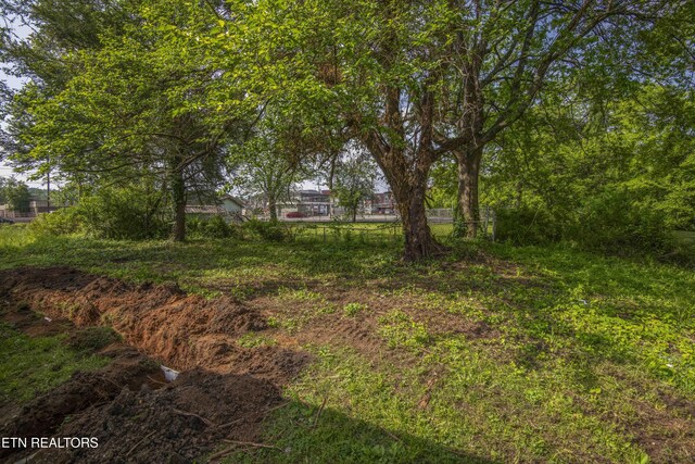 309 W Wheeler St, Rockwood, TN 37854 - photo 36