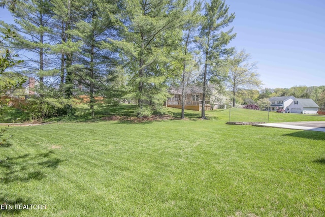 view of yard