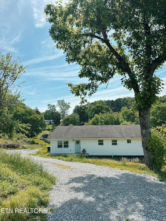 view of front of property with gravel driveway and roof with shingles