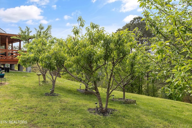 487 Fish Hatchery Rd, Sweetwater, TN 37874 - view of grassy yard featuring a wooden deck