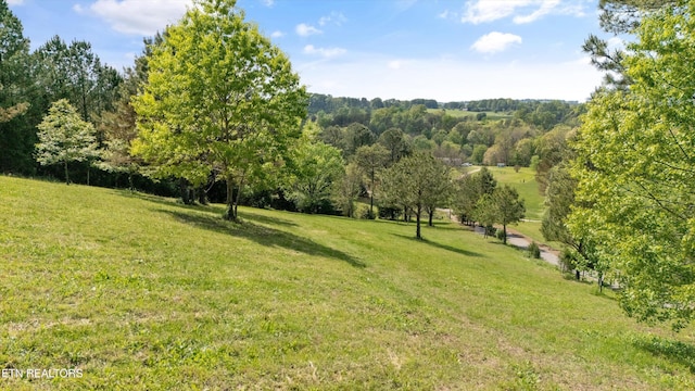 487 Fish Hatchery Rd, Sweetwater, TN 37874 - view of grassy yard
