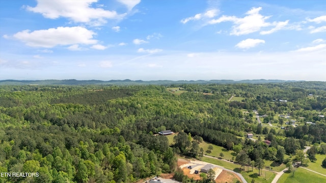 487 Fish Hatchery Rd, Sweetwater, TN 37874 - drone / aerial view of a forest