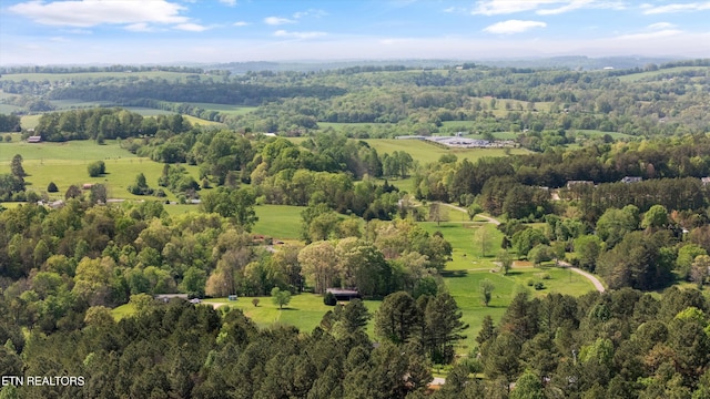 487 Fish Hatchery Rd, Sweetwater, TN 37874 - aerial view of property and surrounding area