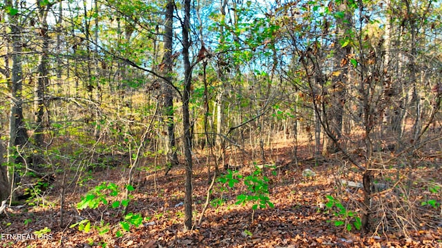 00 George St, Camden, TN 38320