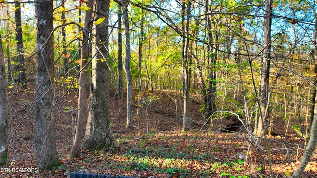 00 George St, Camden, TN 38320