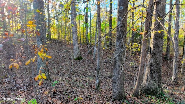 00 George St, Camden, TN 38320