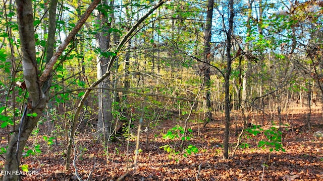 00 George St, Camden, TN 38320