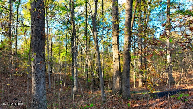 00 George St, Camden, TN 38320