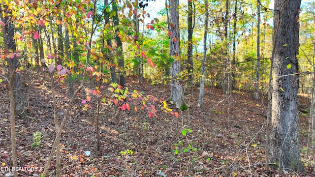 00 George St, Camden, TN 38320