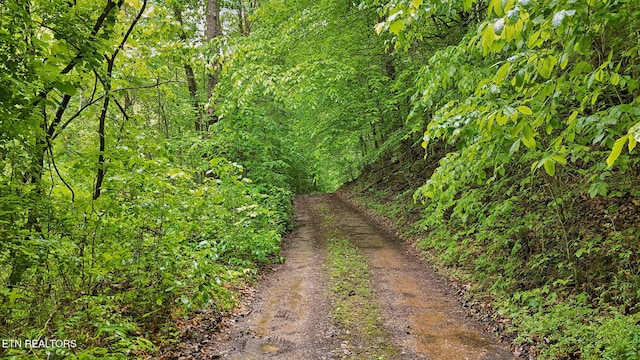 201 Birch Hollow Rd, Maynardville, TN 37807