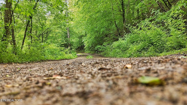 201 Birch Hollow Rd, Maynardville, TN 37807