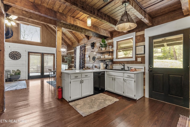 kitchen with wooden ceiling, a wealth of natural light, wood walls, and dishwasher