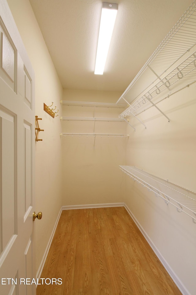 13177 Clear Ridge Rd, Knoxville, TN 37922 - walk in closet with light wood-style floors