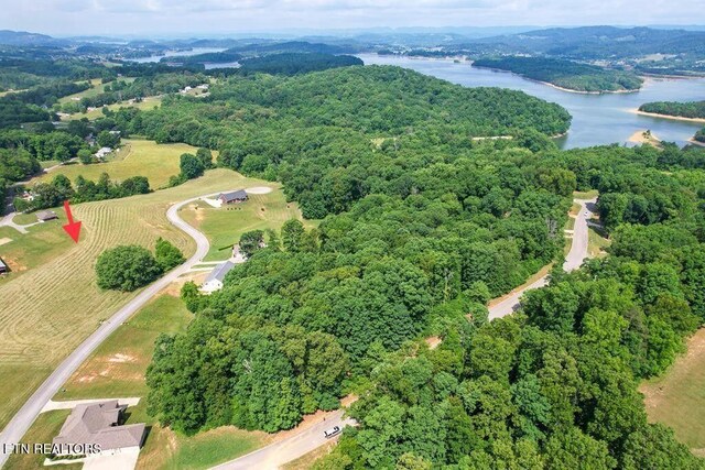 6350 Turners Pond Trl, Russellville, TN 37860 - photo 4