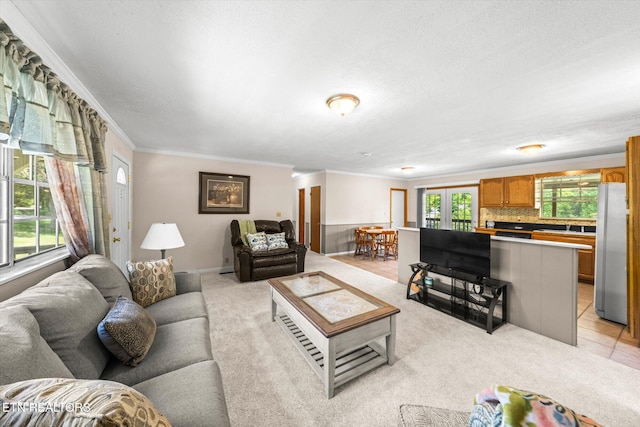living area with crown molding, light carpet, and a textured ceiling