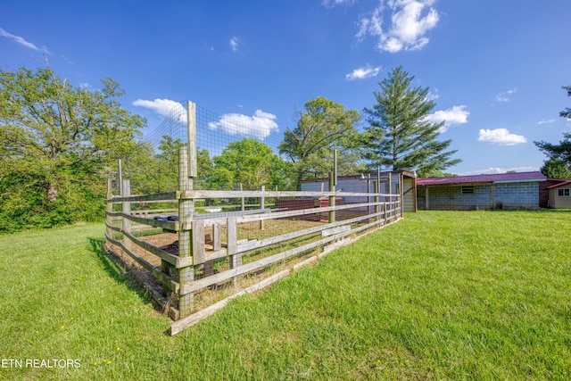 view of yard featuring an outbuilding
