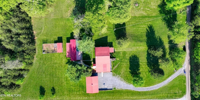 drone / aerial view