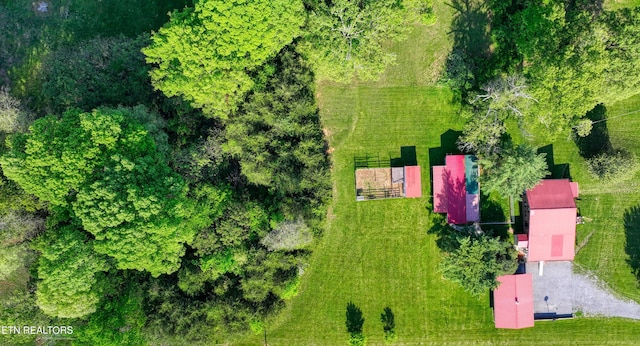 bird's eye view